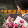 七天感恩冥想
