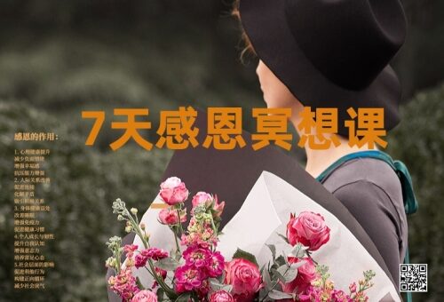 七天感恩冥想