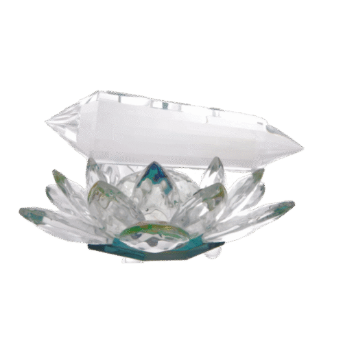 Tachyonized Mini Vogel 4.5 英寸 - 透明