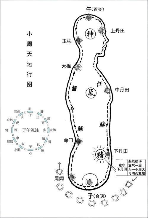 2026年丹道呼吸法